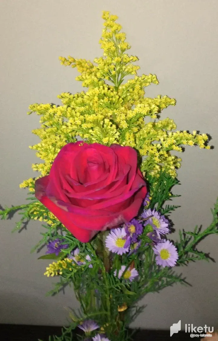 clb4hzaoy00sc2goqfj60gnv6_photo_2022-11-30_22-39-50.webp