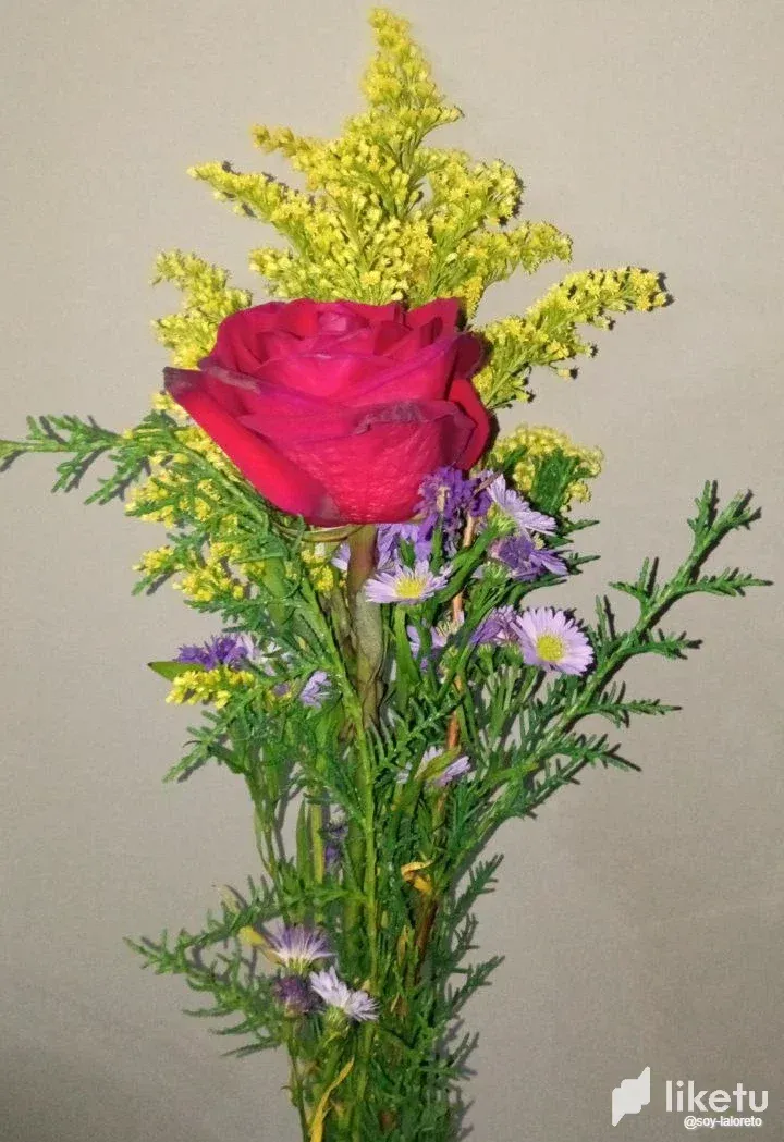 clb4hzf0v00q80woq2otohfeg_photo_2022-11-30_22-39-44.webp