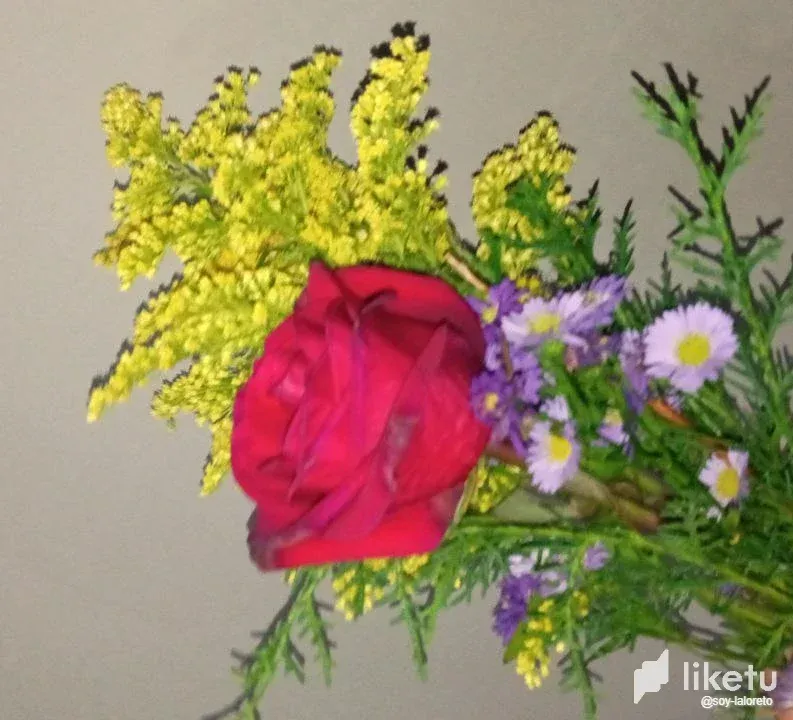 clb4hzfpg00qm2roqb8wg8g8p_photo_2022-11-30_22-39-39.webp