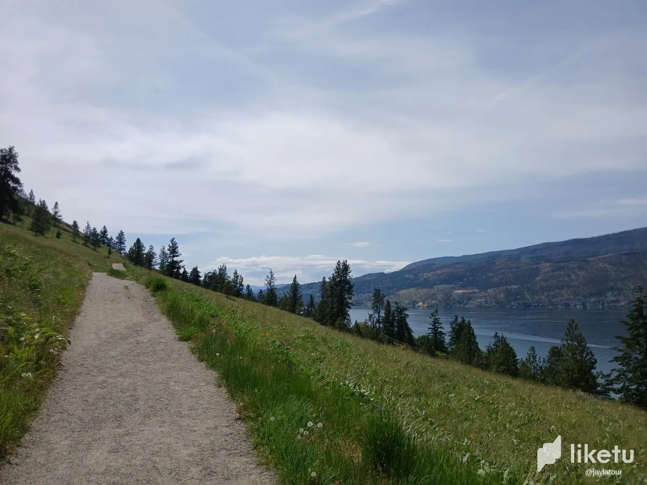 6qjJc6UnfwpkAmIN_20250524_140600.webp