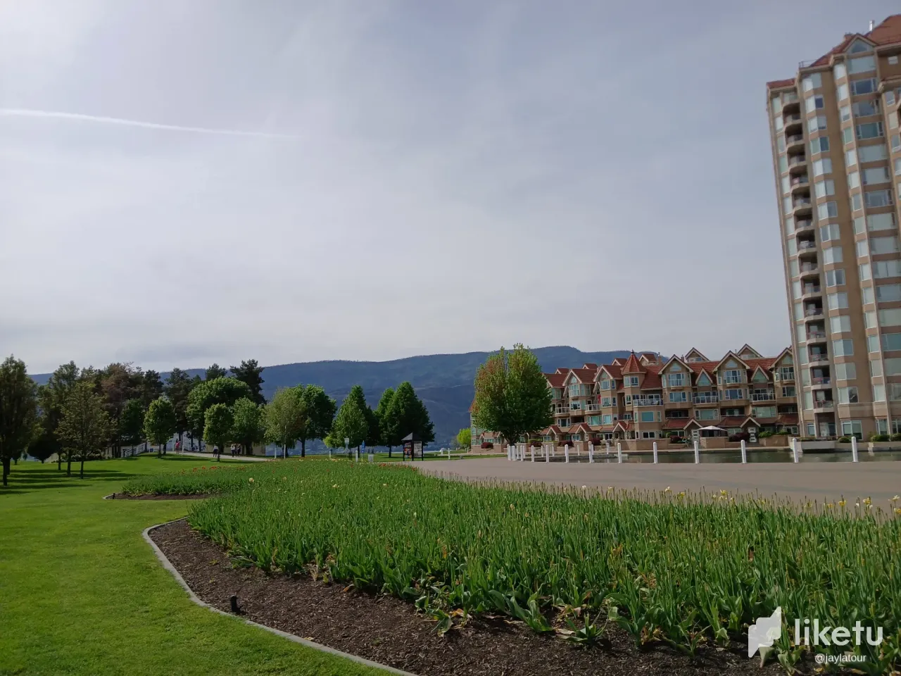 esG8B3HohgOJULg0_20250509_155219.webp