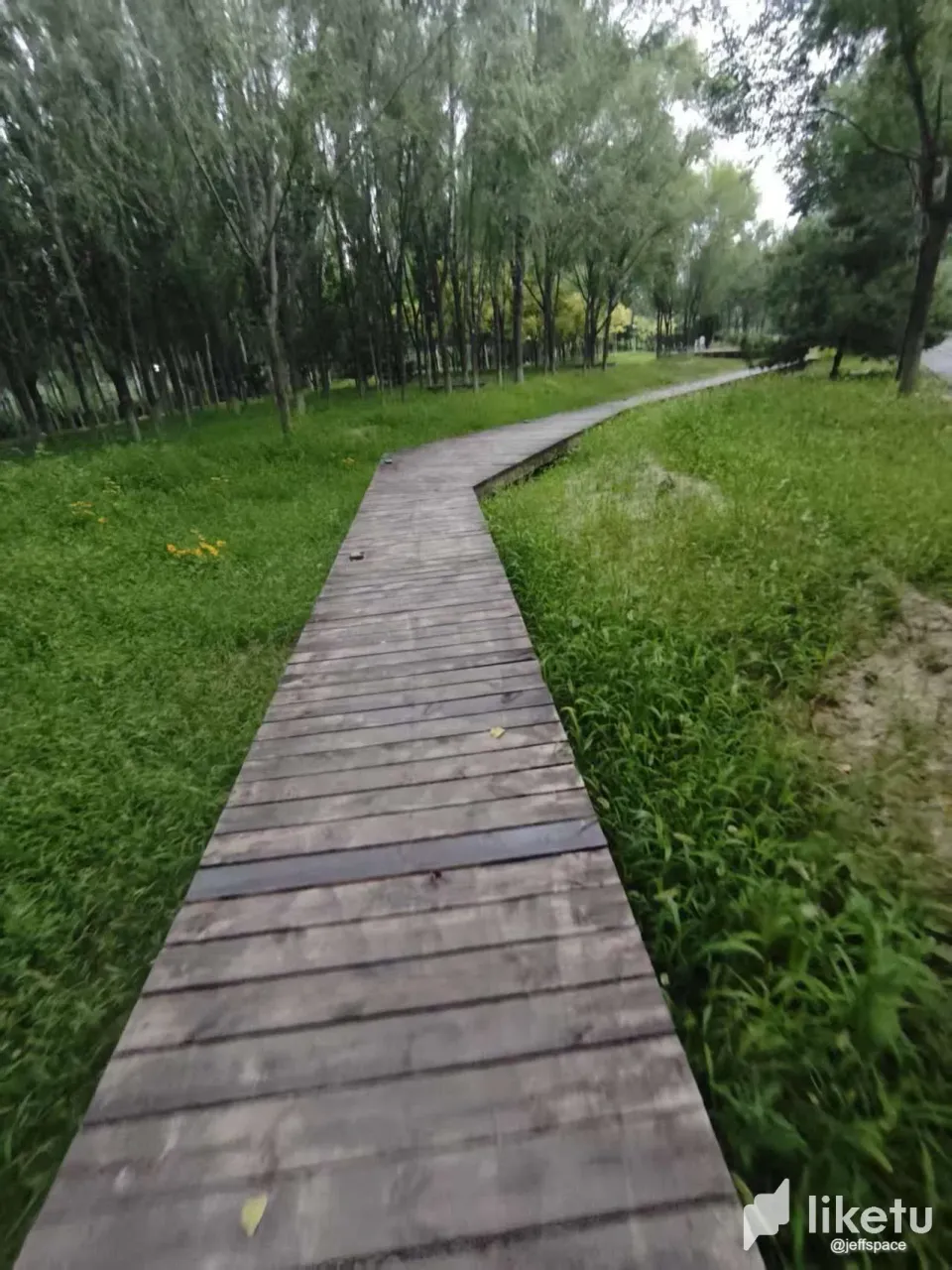 At905qtYU4c7Xv3p__20250720073230.webp