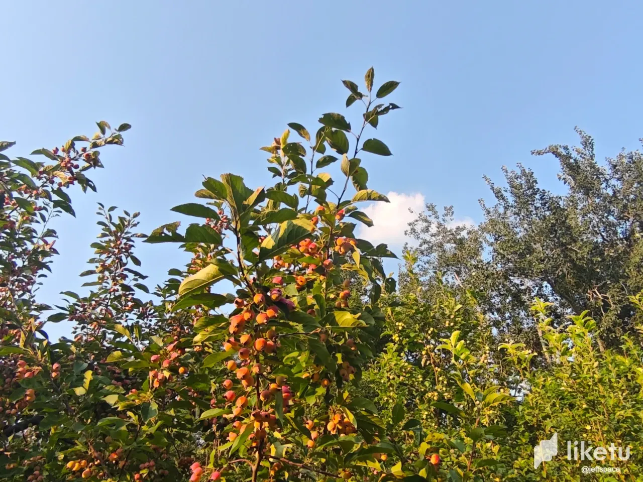 bHcWsc0S4iCefzM9__20250802120648.webp