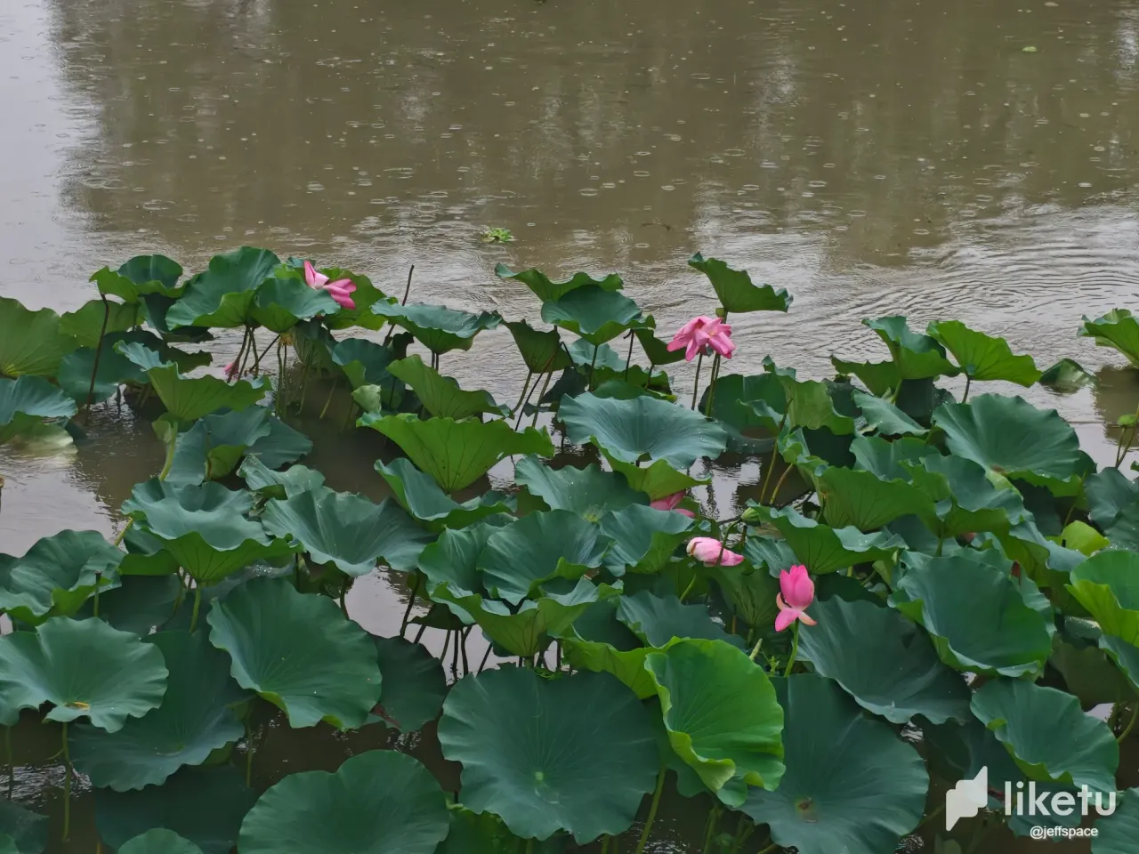 pUOXQHPGJ9Fqtqho__20250730093753.webp
