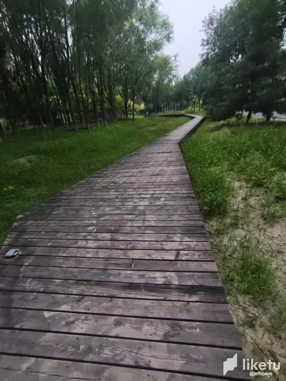 tVFJonXBQ5pfd1ZW__20250720073222.webp