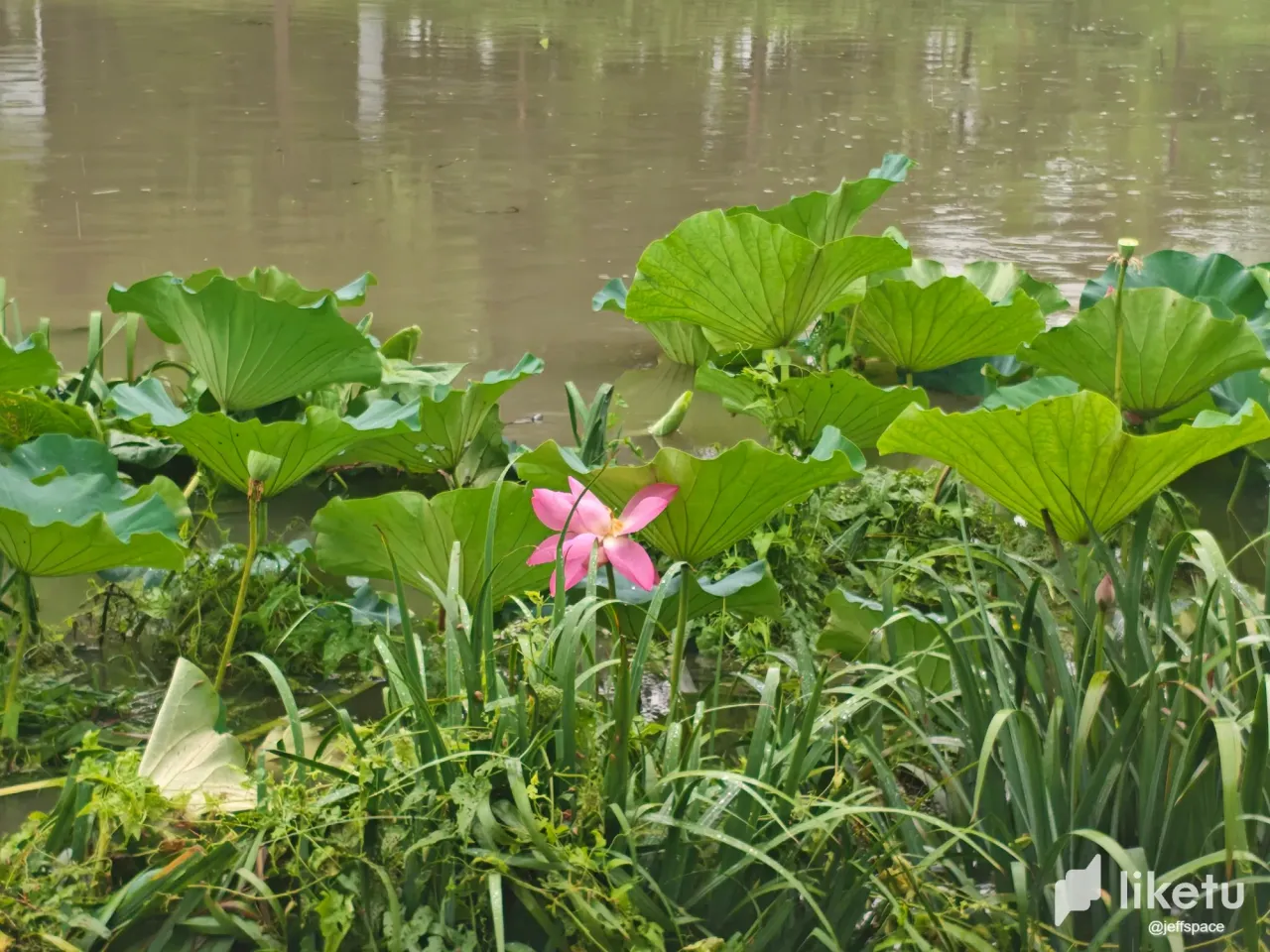 w8r0tyQlZTXjFDiR__20250730093744.webp