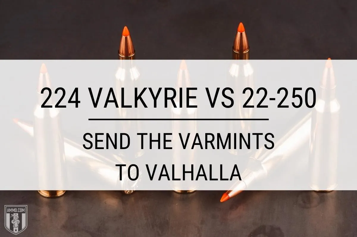 224-valkyrie-vs-22-250-hero-image.jpeg