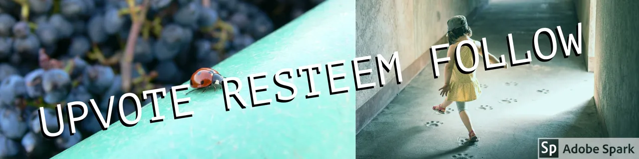 Banner Upvote Resteem Follow.jpg