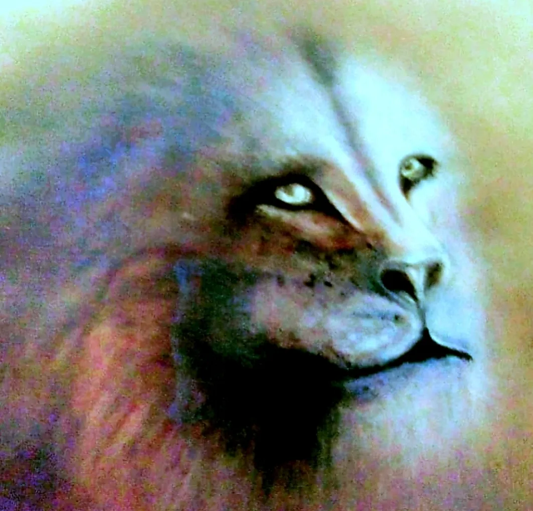 Screenshot_20190324-022951_Gallery.jpg