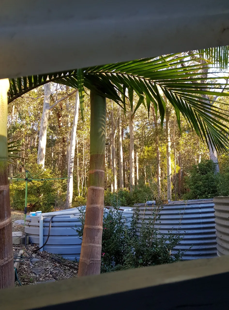 Screenshot_20180624-085443_Gallery.jpg