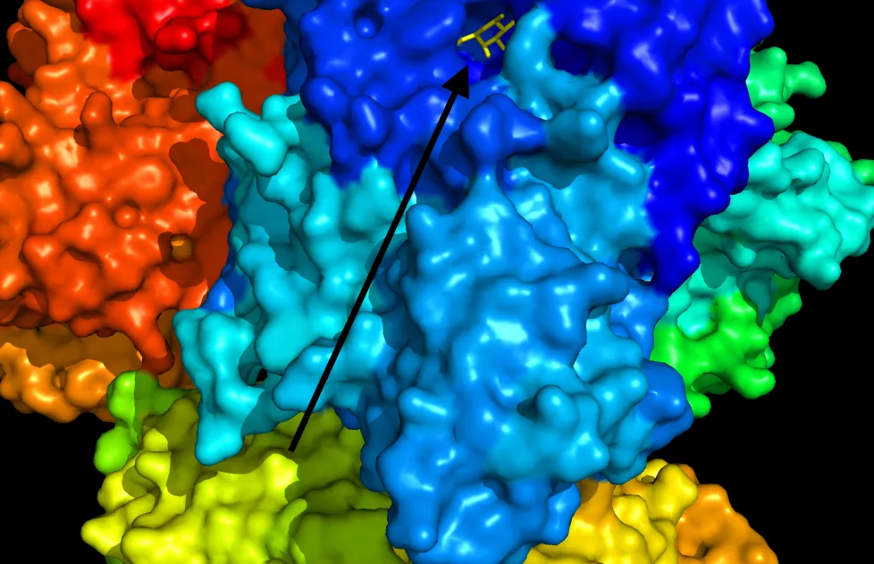 riddle_December_2_7_with_substrate.png