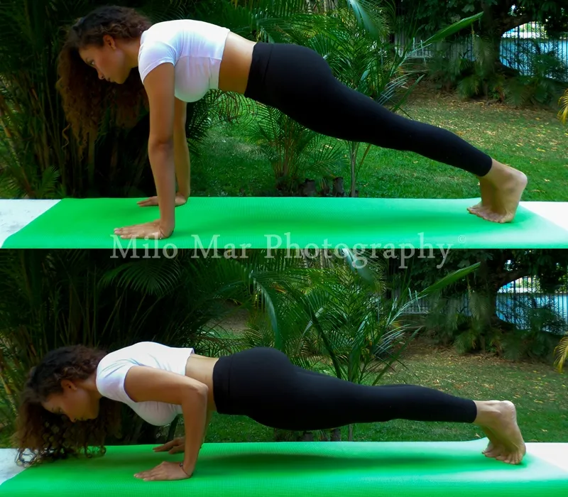 Tabla o Chaturanga dandasana.jpg