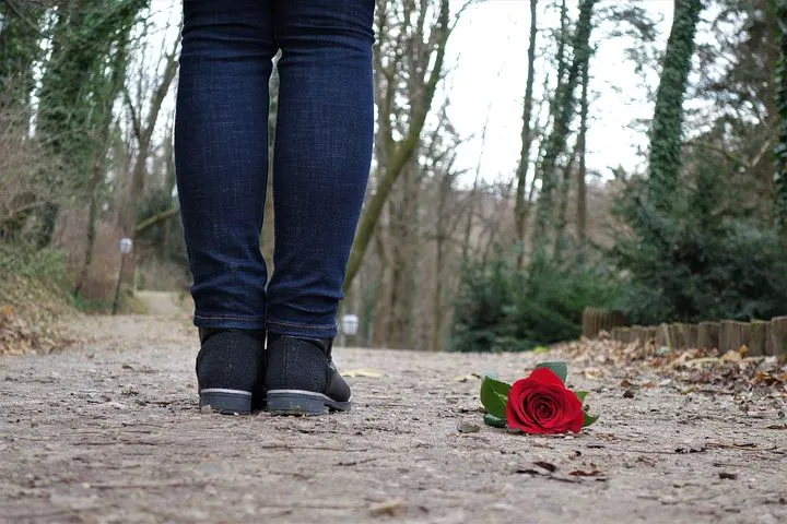red-rose-on-the-floor-3007756__480.jpg
