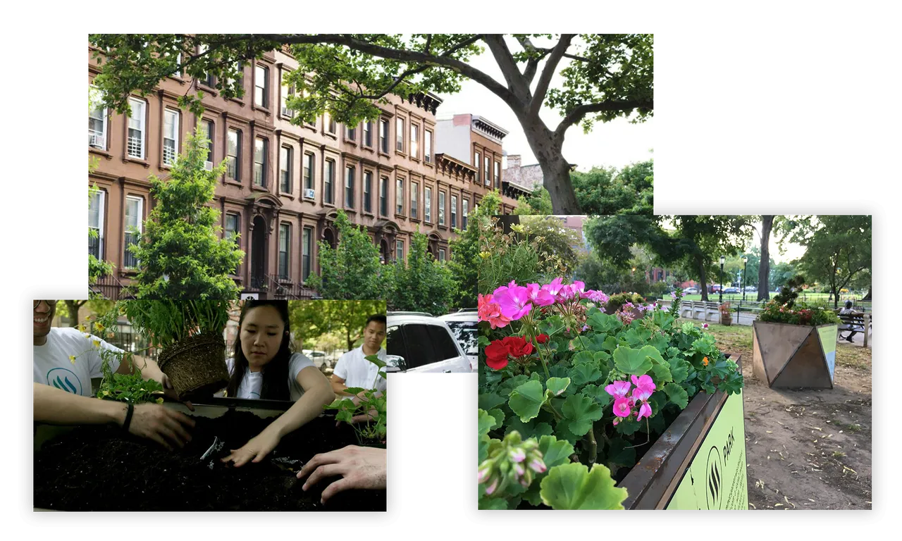 180609 Resiliency Steem Park.png