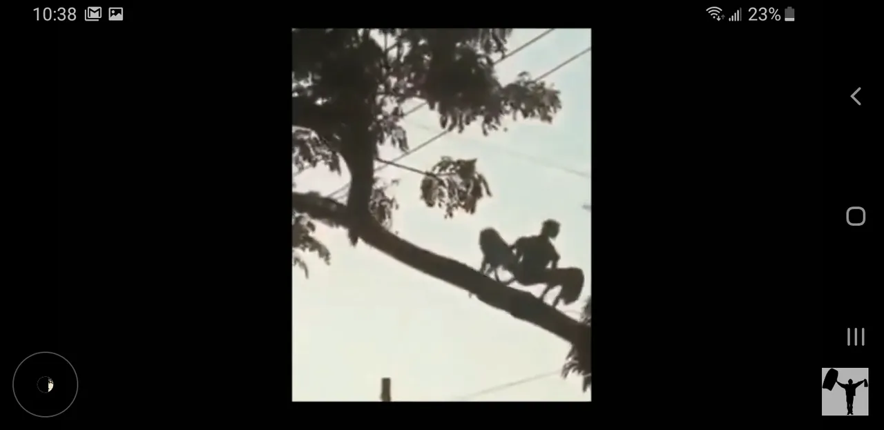 Screenshot_20190307-103834_YouTube.jpg