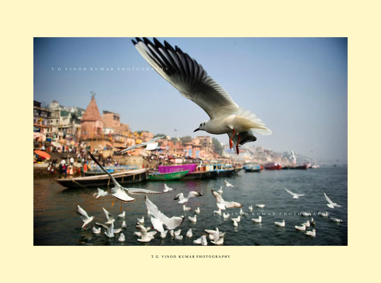 Fly over the tradition New.jpg