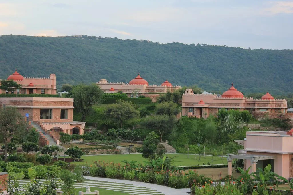 tree of life resort jaipur.jpg