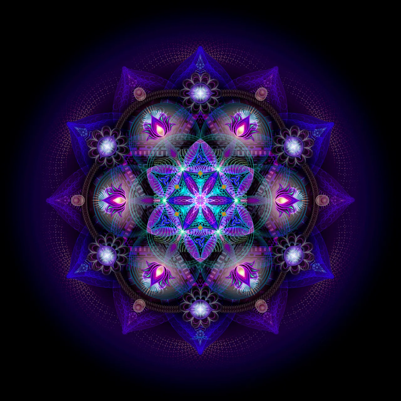 Flower Of Life Mandala Web.jpg