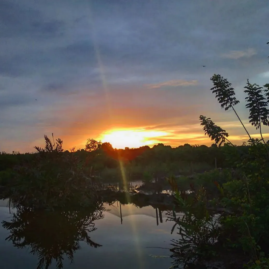 20220312_235517.jpg