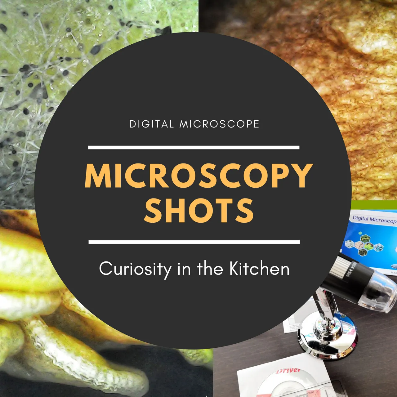 microscopy.png