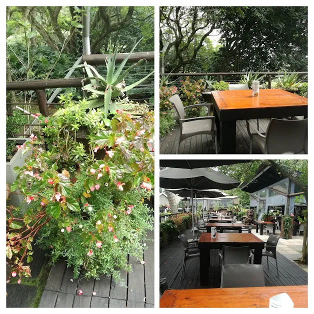 tea room.jpg