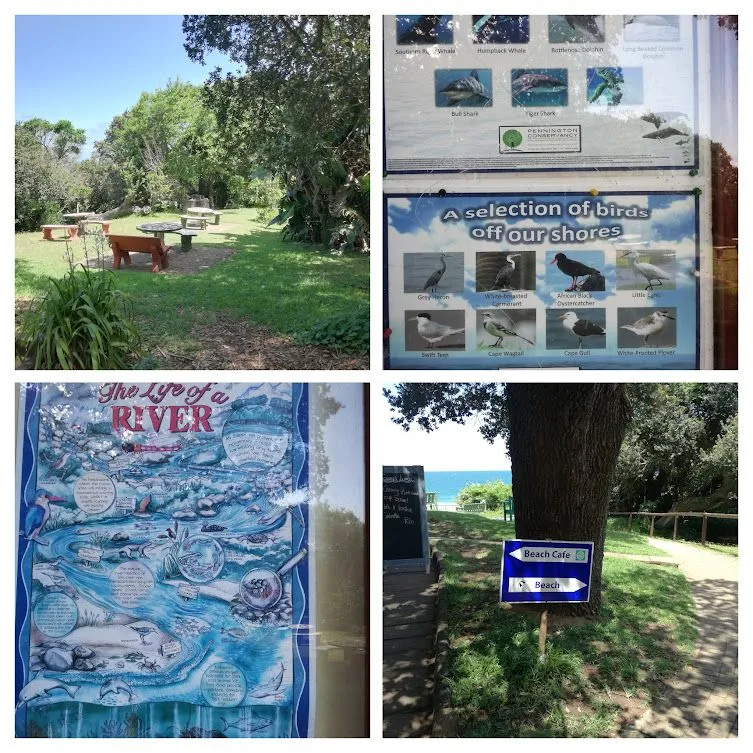 pathways and signs.jpg