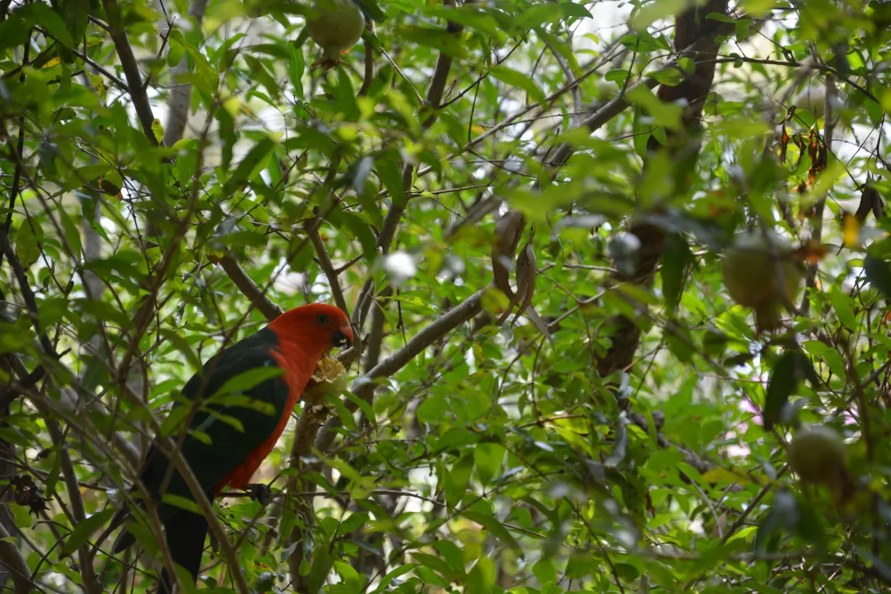 DSC_0510.JPG