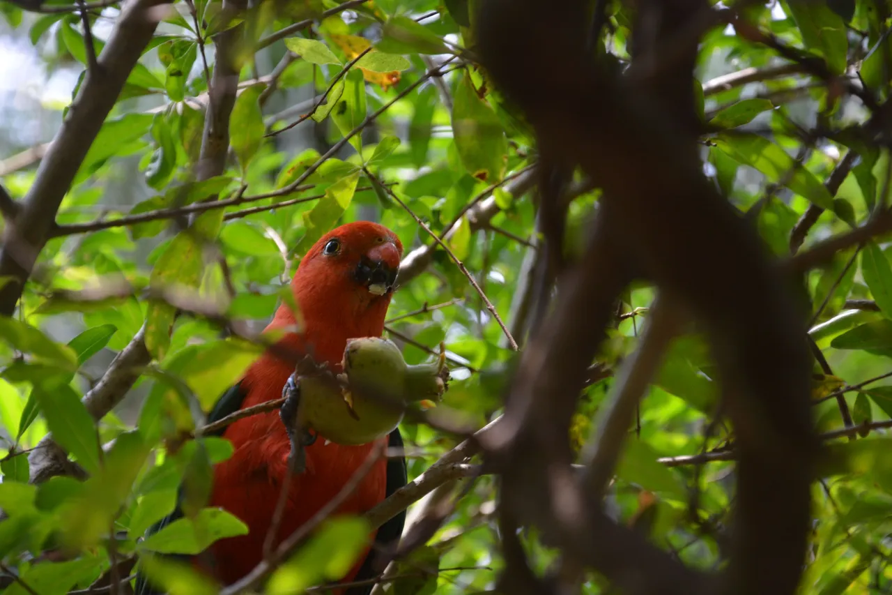 DSC_0517.JPG