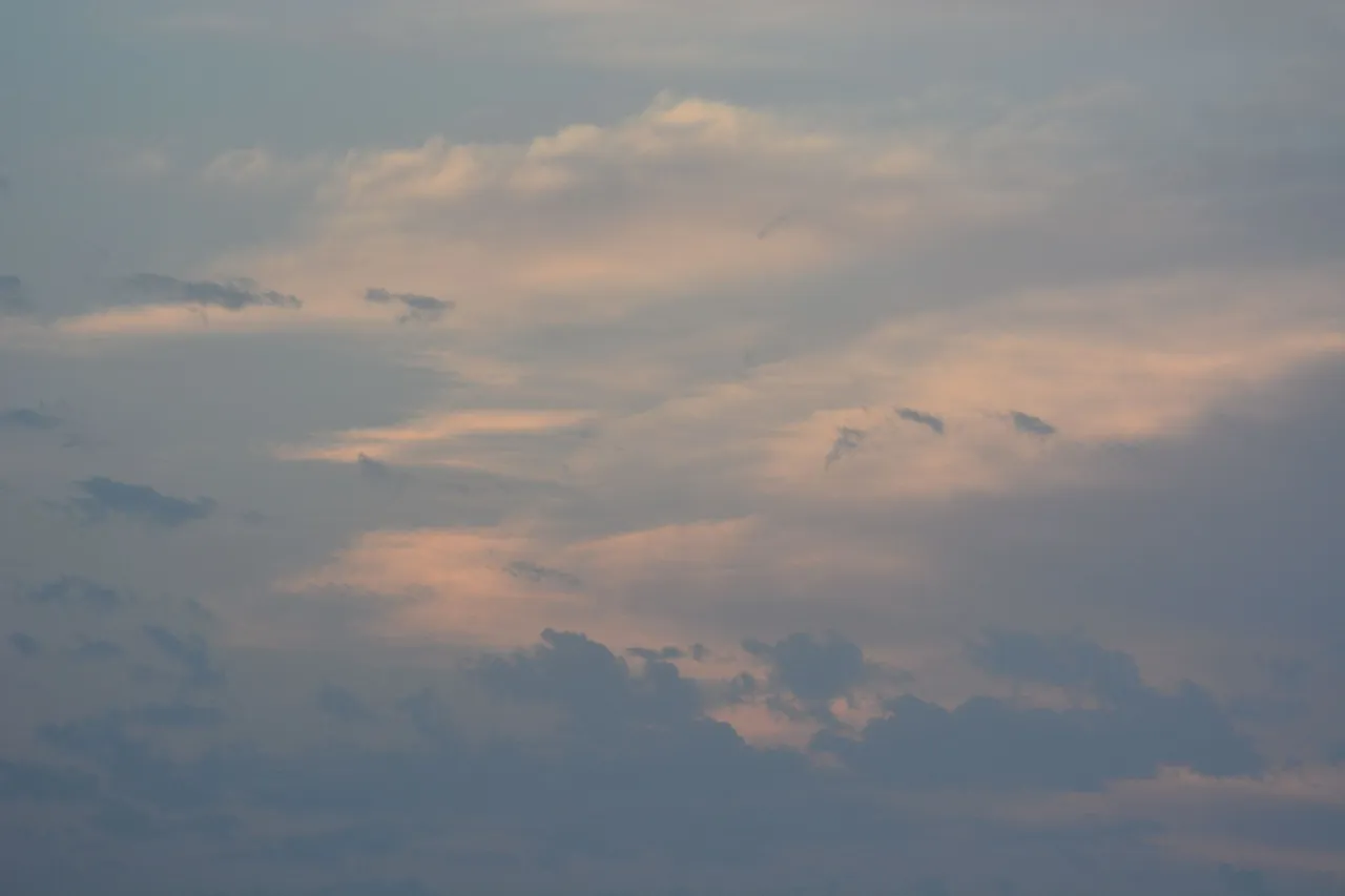 DSC_0400.JPG