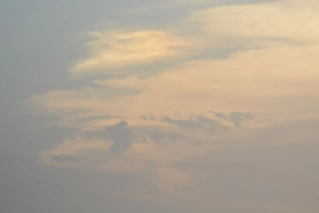 DSC_0346.JPG
