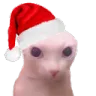 bingus_navideño.png