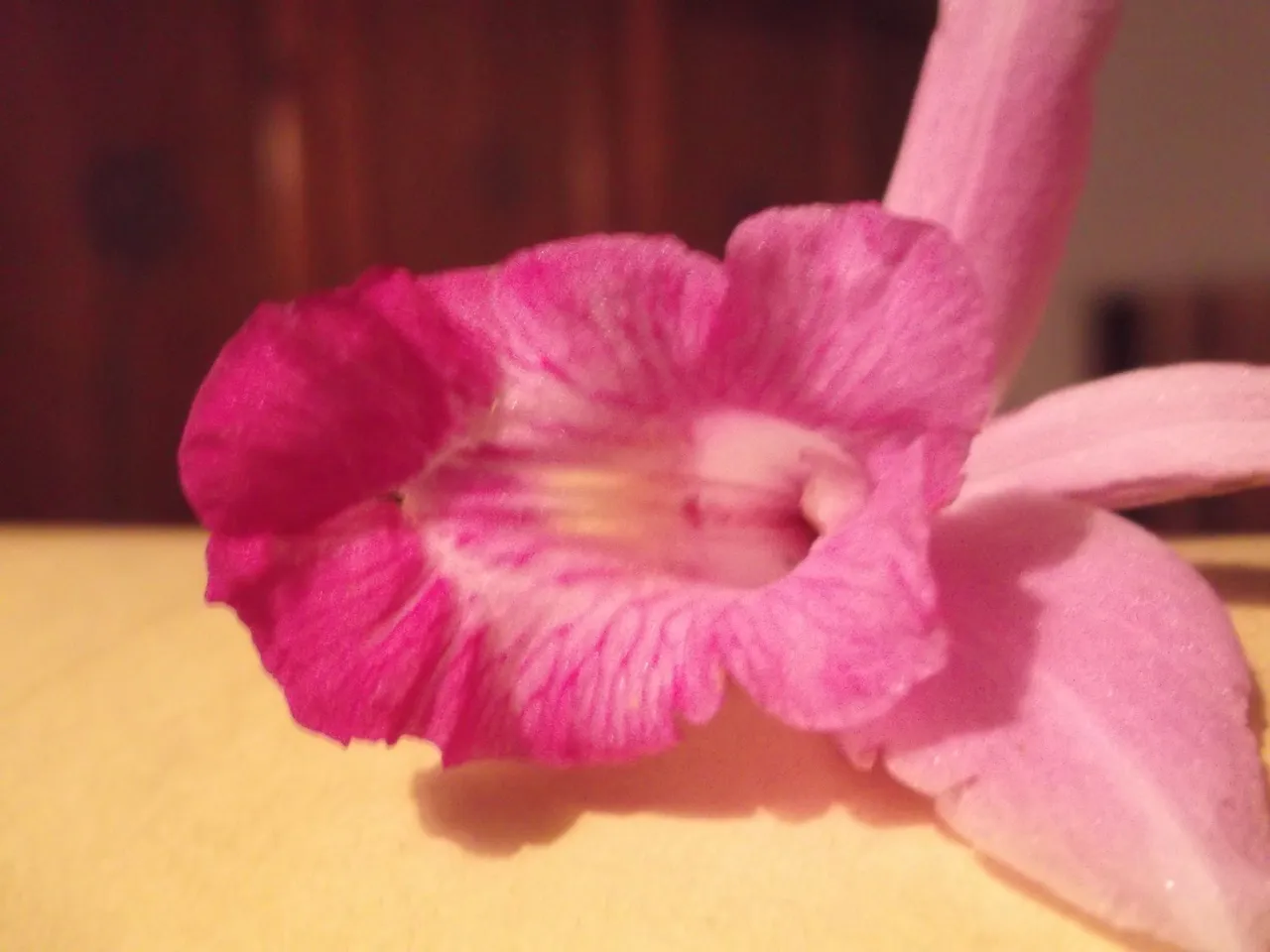 DSCF3884.JPG