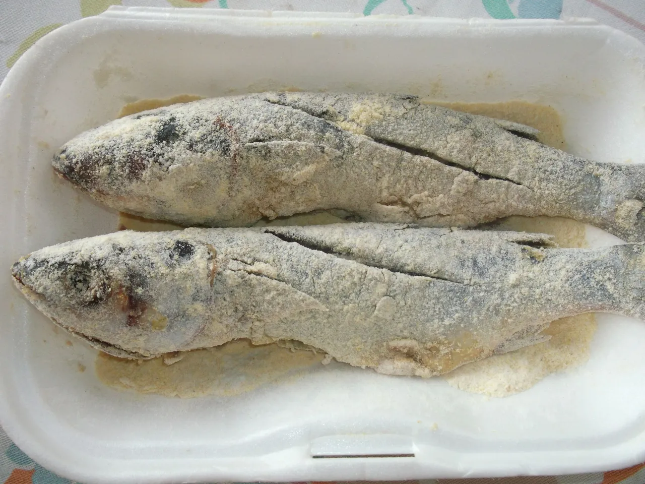 DSCF4020.JPG