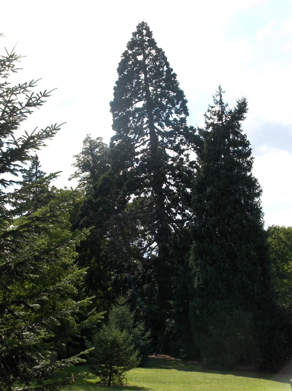 HPIM2232.JPG