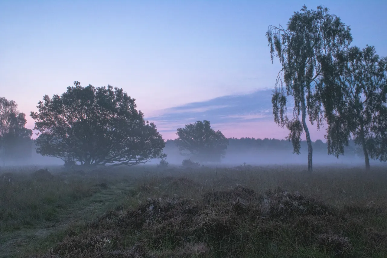 16th September 2020_ Sunrise_ Linwood Warren_ 05.jpg