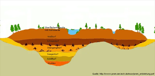 Hochmoor schematic.bmp