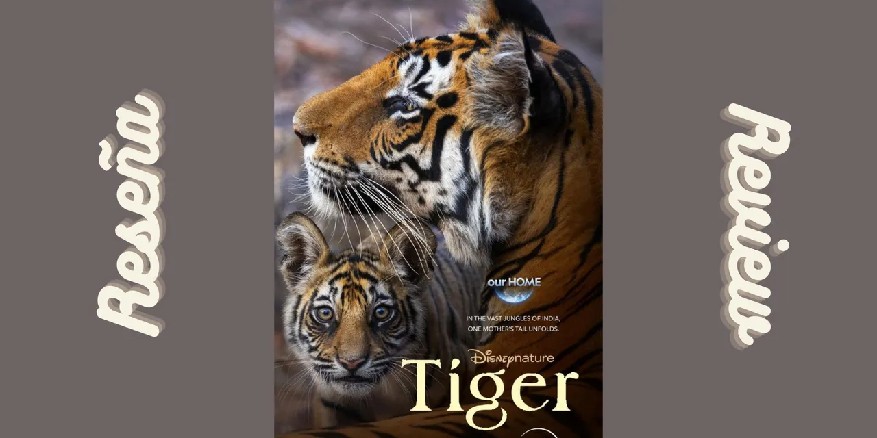 tigers.png