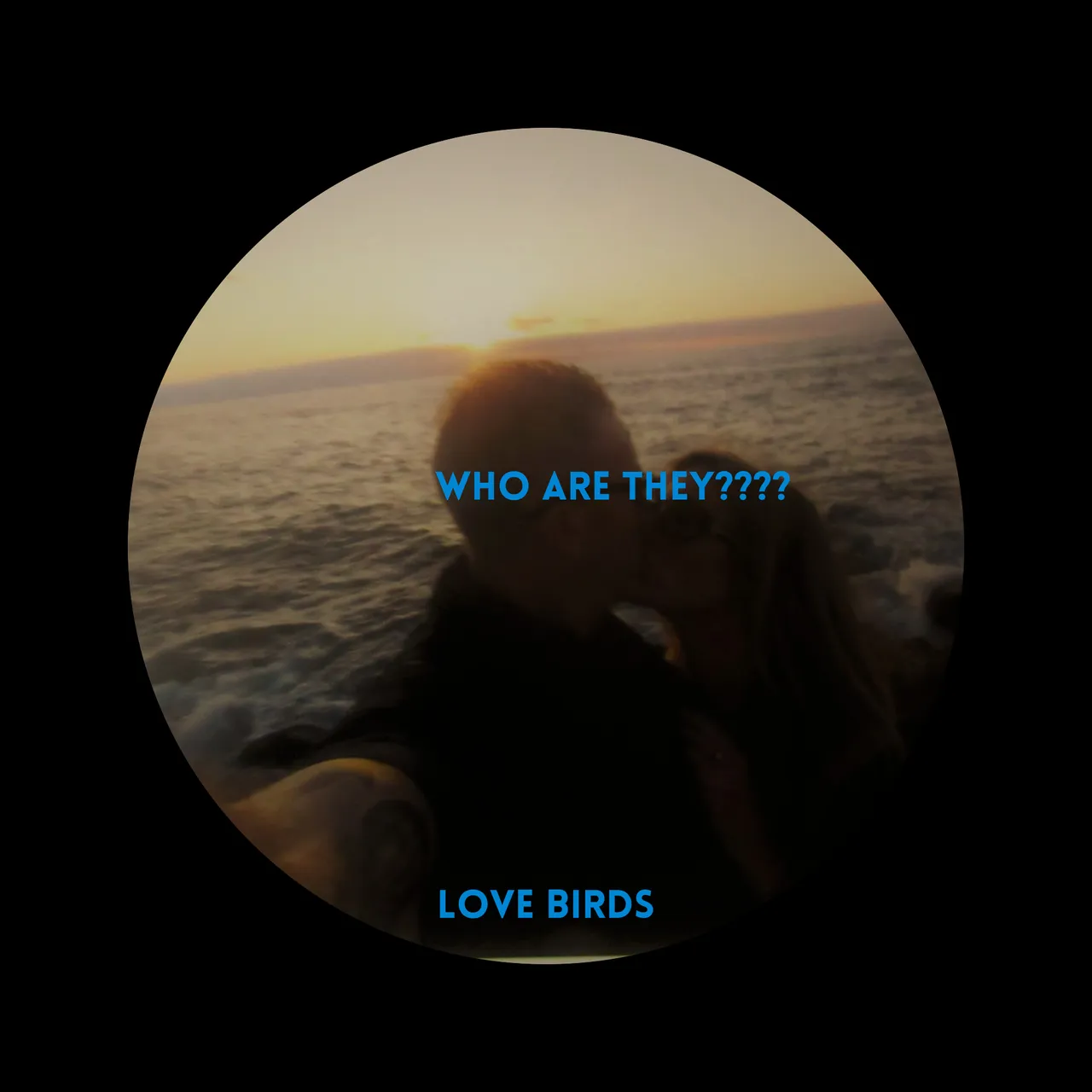 lolve birds.png