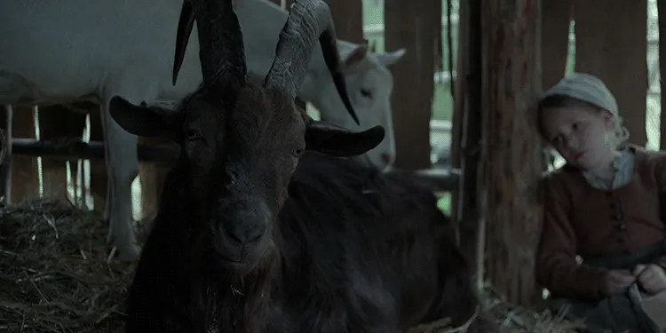 will-there-ever-be-a-witch-sequel-black-phillip-does-not-want-a-sequel-to-the-witch-1141000.jpg