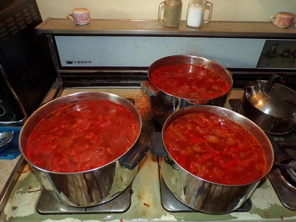 Ketchup  cooking by noon crop August 2020.jpg