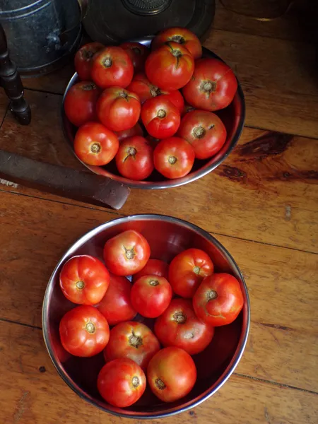 Tomatoes  15 lbs unripe1 crop August 2020.jpg