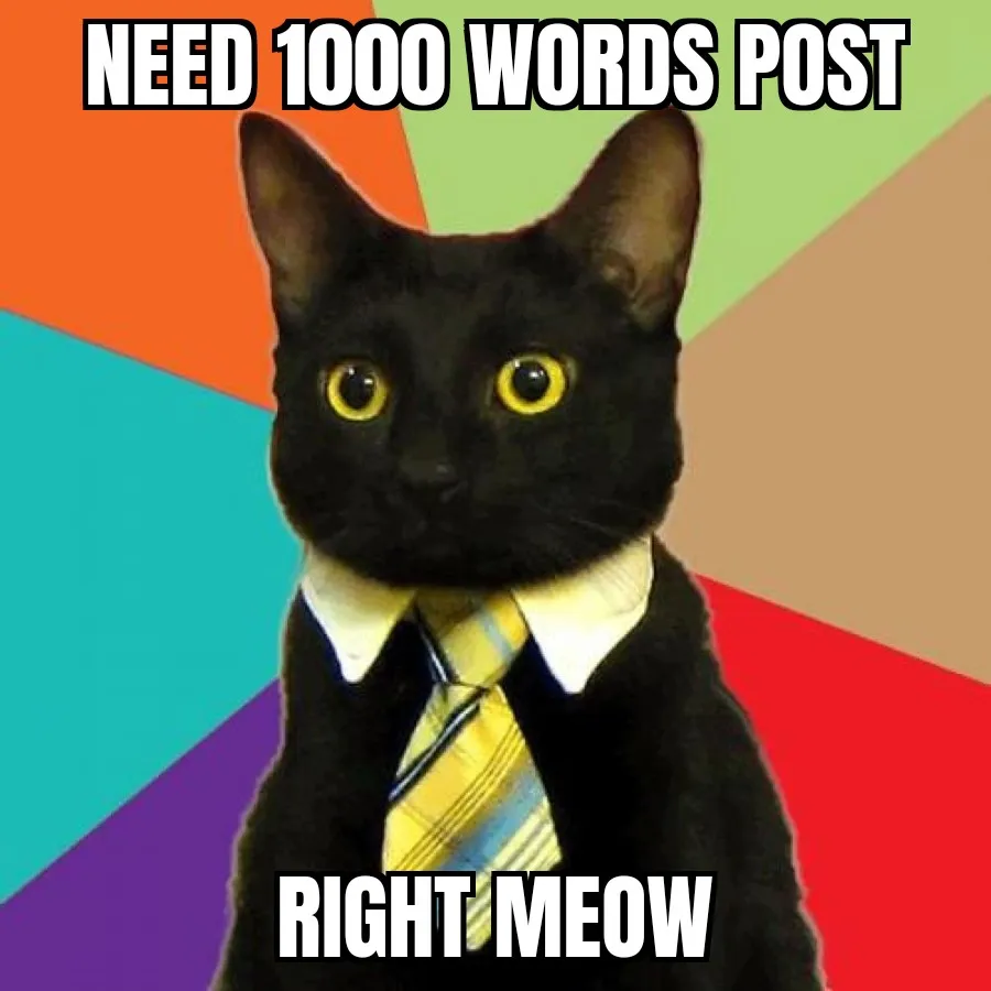 Business Cat 19032022015911.jpg