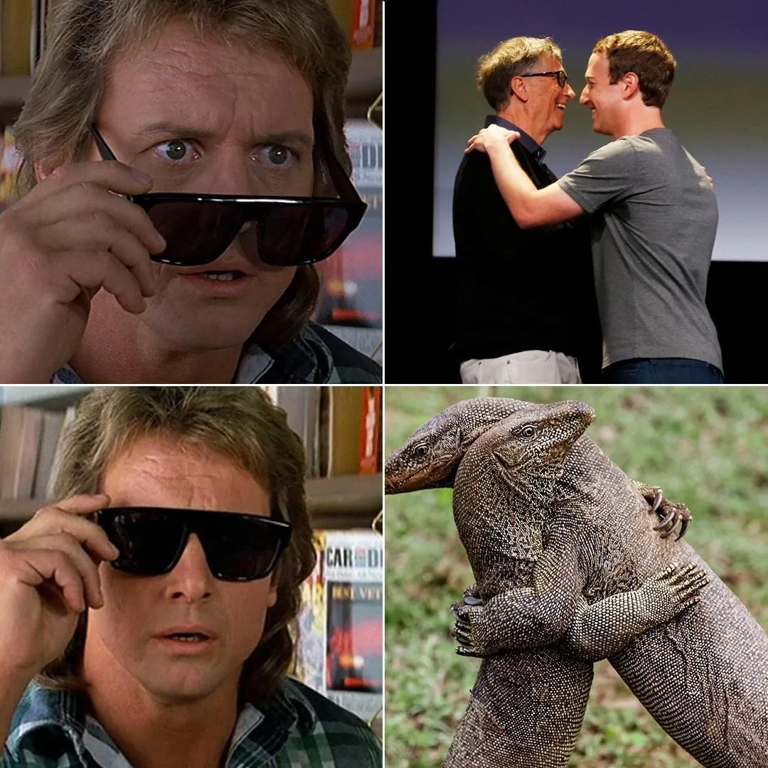 Lizzards-Hx7Vbol.jpg