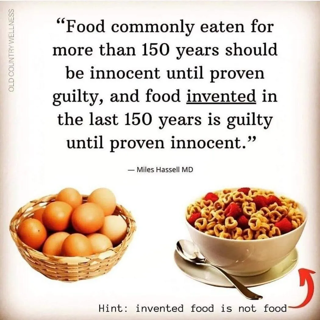 innocent food-qFwgNG0.jpg