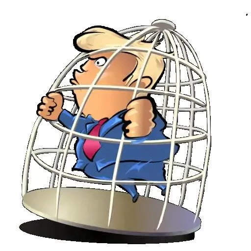 Trump-sticker_snapshot_00.00.790.jpg