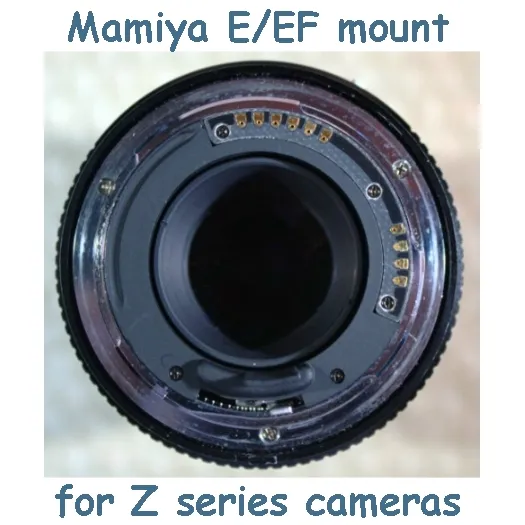 mamiya.jpg