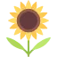 girasol.png