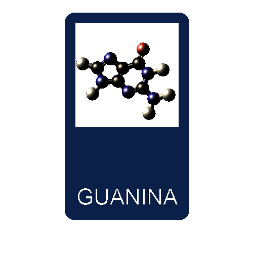GUANINA.gif