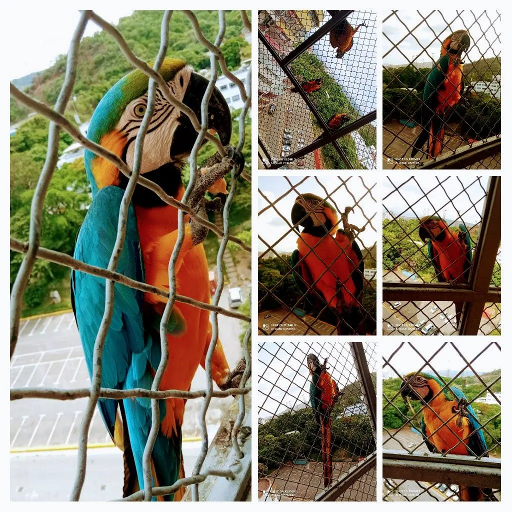 20211027_095551-COLLAGE.jpg