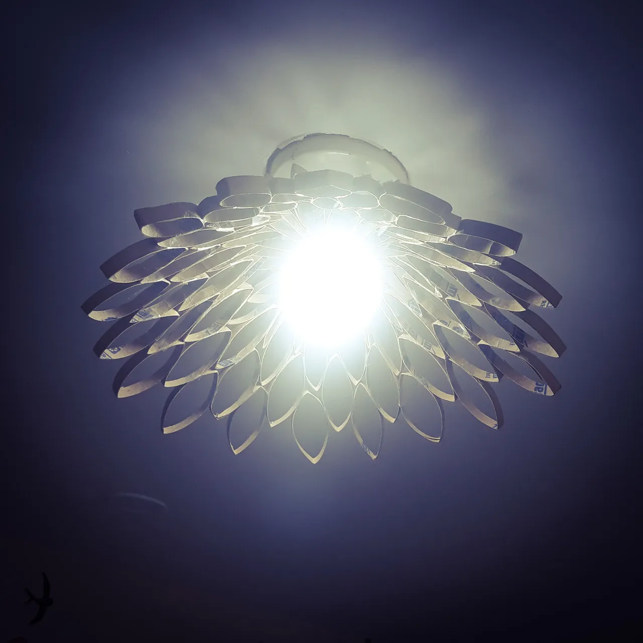 PSX_20210820_155147.jpg